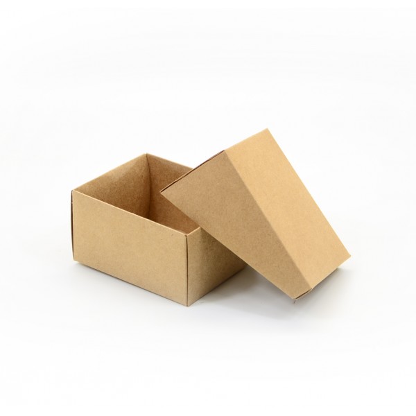 Ref 069 Kraft - Caixa Ortodôntica - 10x8x5,5 cm