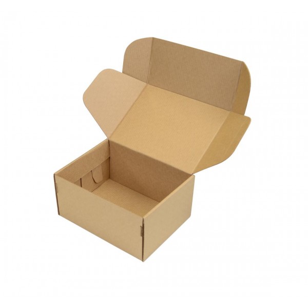 SEDEX Nº1 - Caixa de Transporte Correios - 18x13x8,5 cm