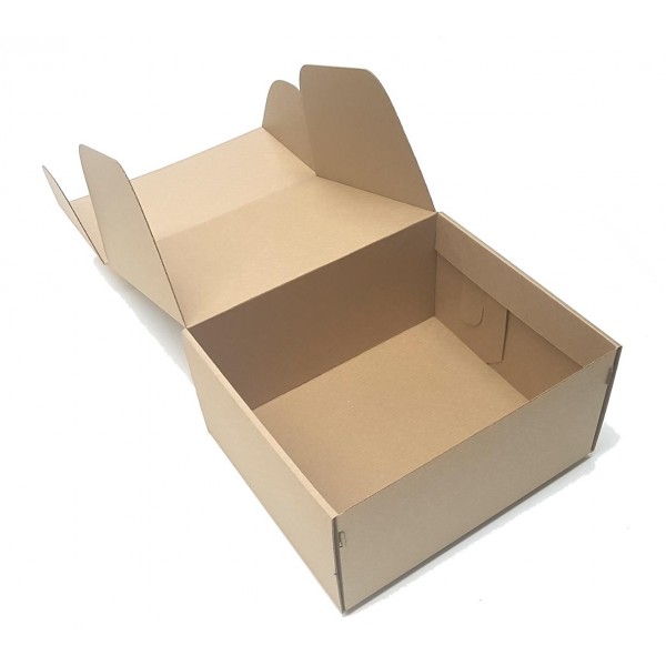 SEDEX SNUT - Caixa de Transporte Correios - 30x25x17 cm