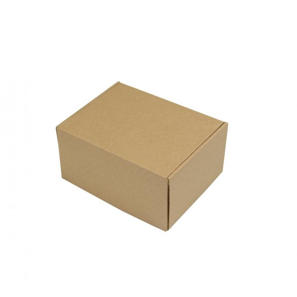 SEDEX Nº1 - Caixa de Transporte Correios - 18x13x8,5 cm