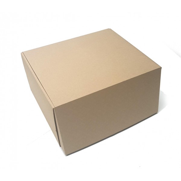 SEDEX SNUT - Caixa de Transporte Correios - 30x25x17 cm