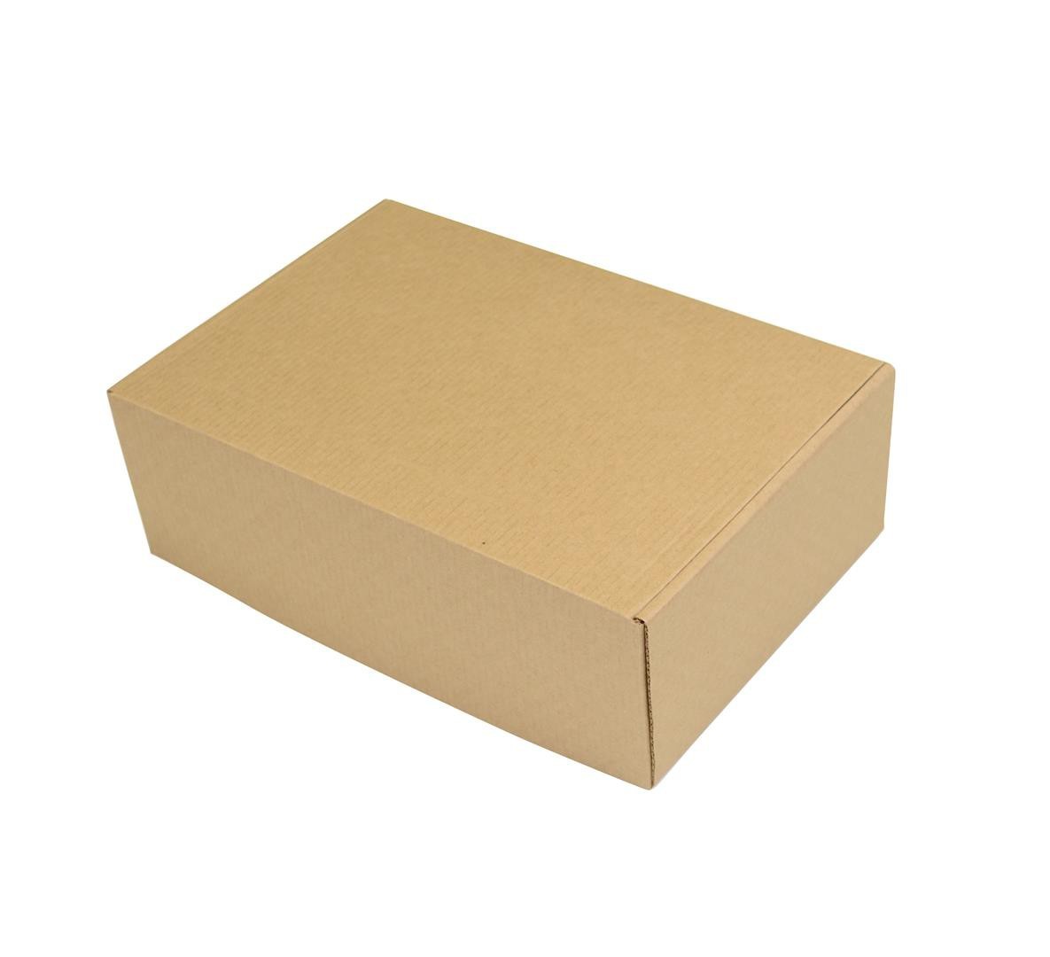 SEDEX Nº2 - Caixa de Transporte Correios - 26,5X17,5x8,5 cm