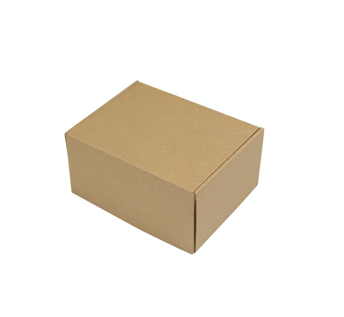 SEDEX Nº1 - Caixa de Transporte Correios - 18x13x8,5 cm