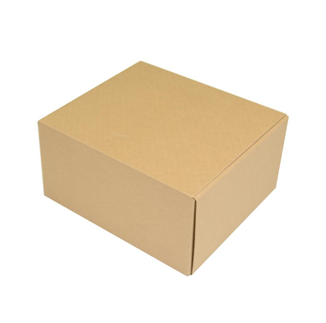SEDEX Nº3 - Caixa de Transporte Correios - 26,5x22x13 cm