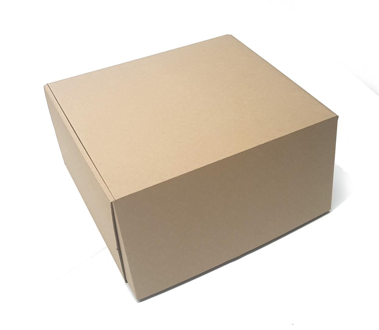 SEDEX SNUT - Caixa de Transporte Correios - 30x25x17 cm